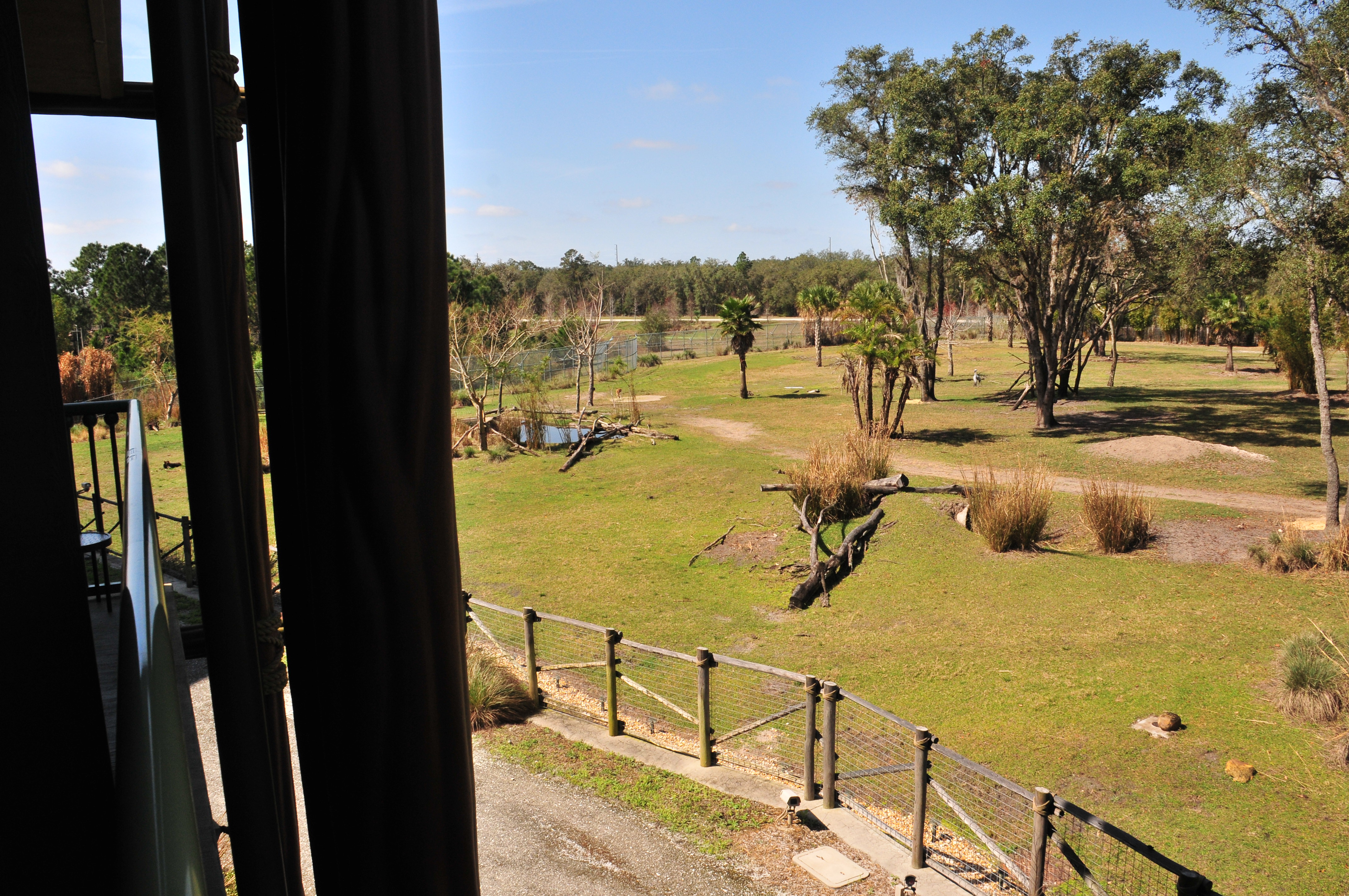 View Of Disney's Animal Kingdom Villas - Kidani Village