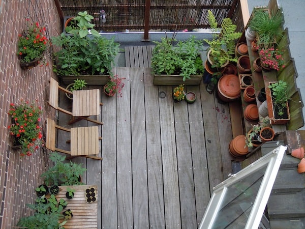 De Beste Planten Voor Op Je Balkon | Tuin En Balkon
