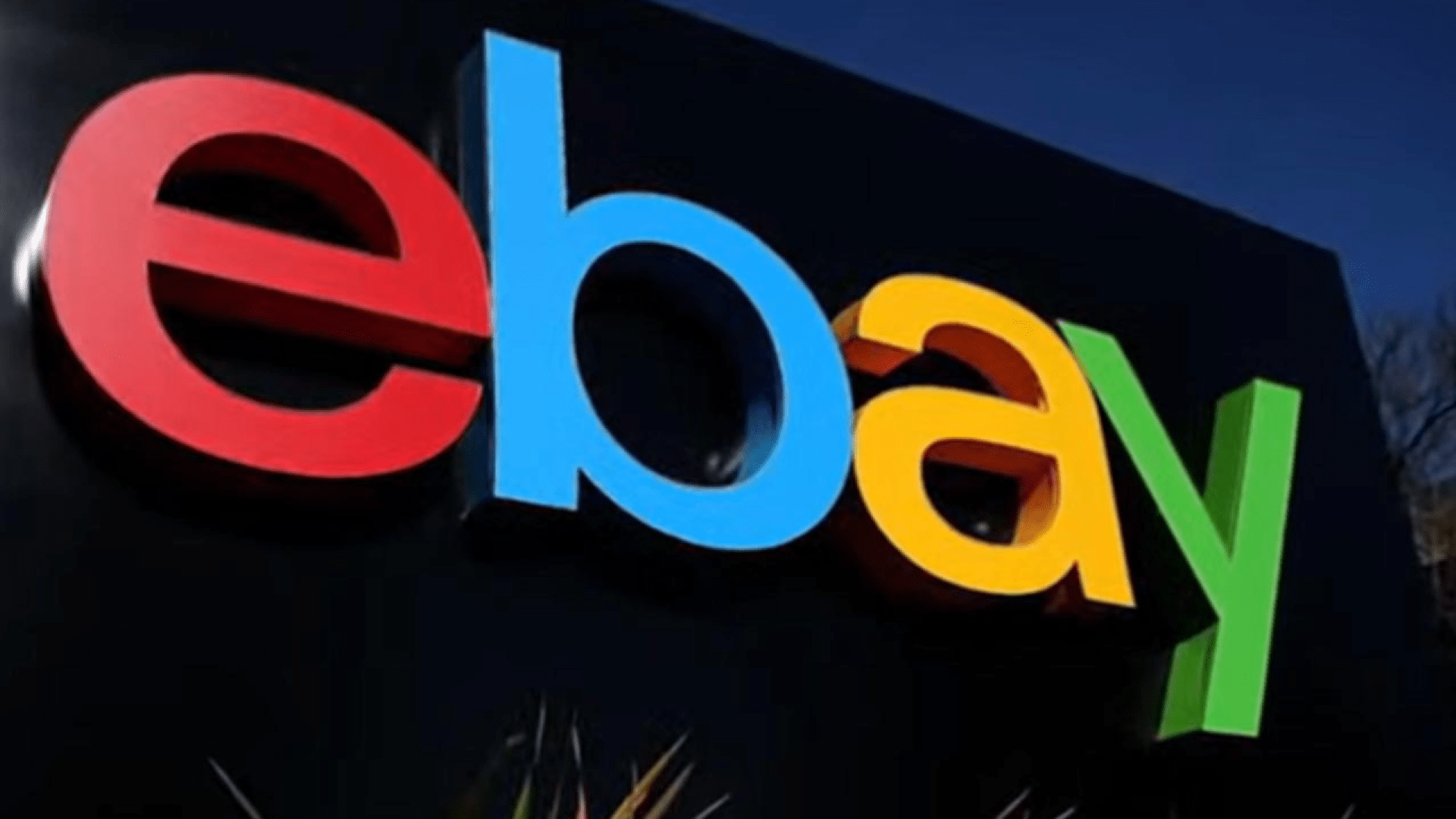 ExeBay executives sent live spiders, cockroaches and committed other