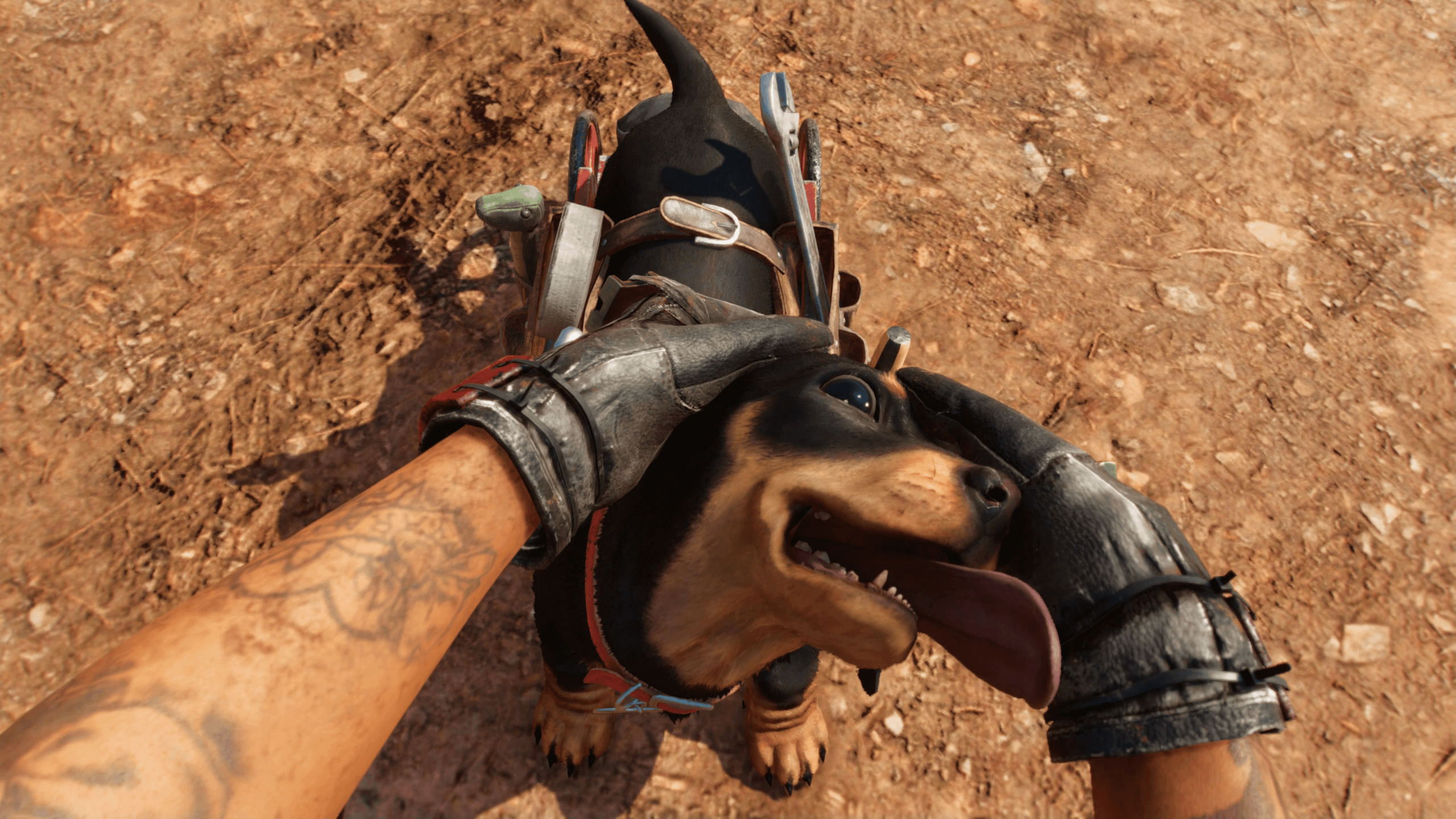 Le guide de Far Cry 6 pour caresser les chiens, les chevaux et d'autres