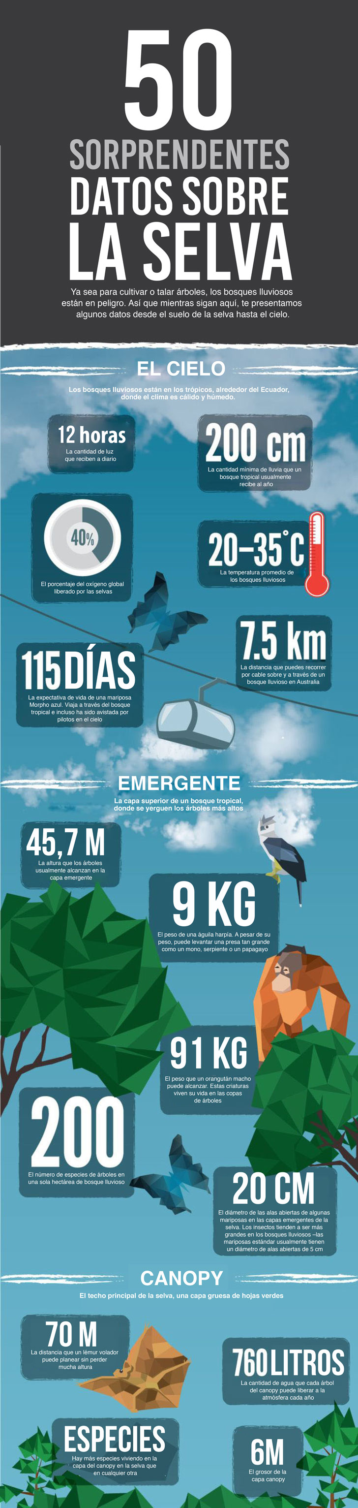 50 sorprendentes datos sobre la selva que te impactarán Upsocl