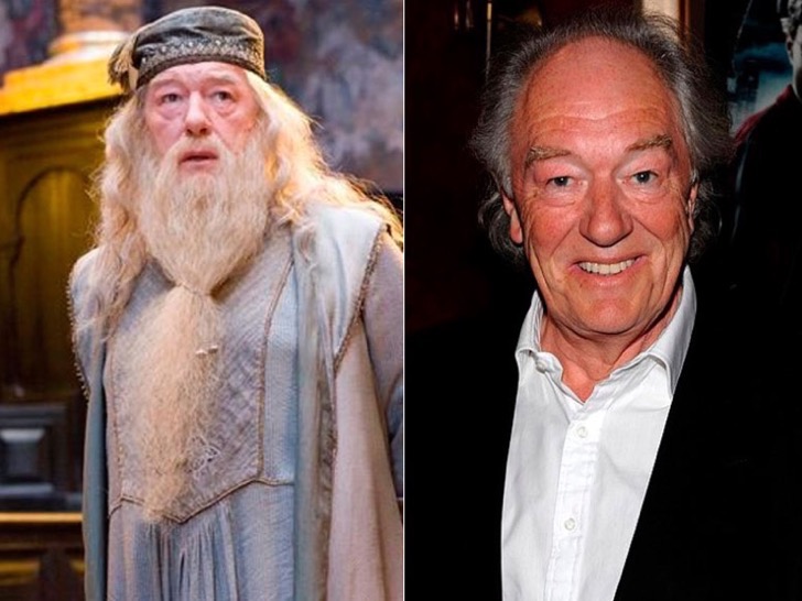 Así lucen los personajes de Harry Potter en la vida real