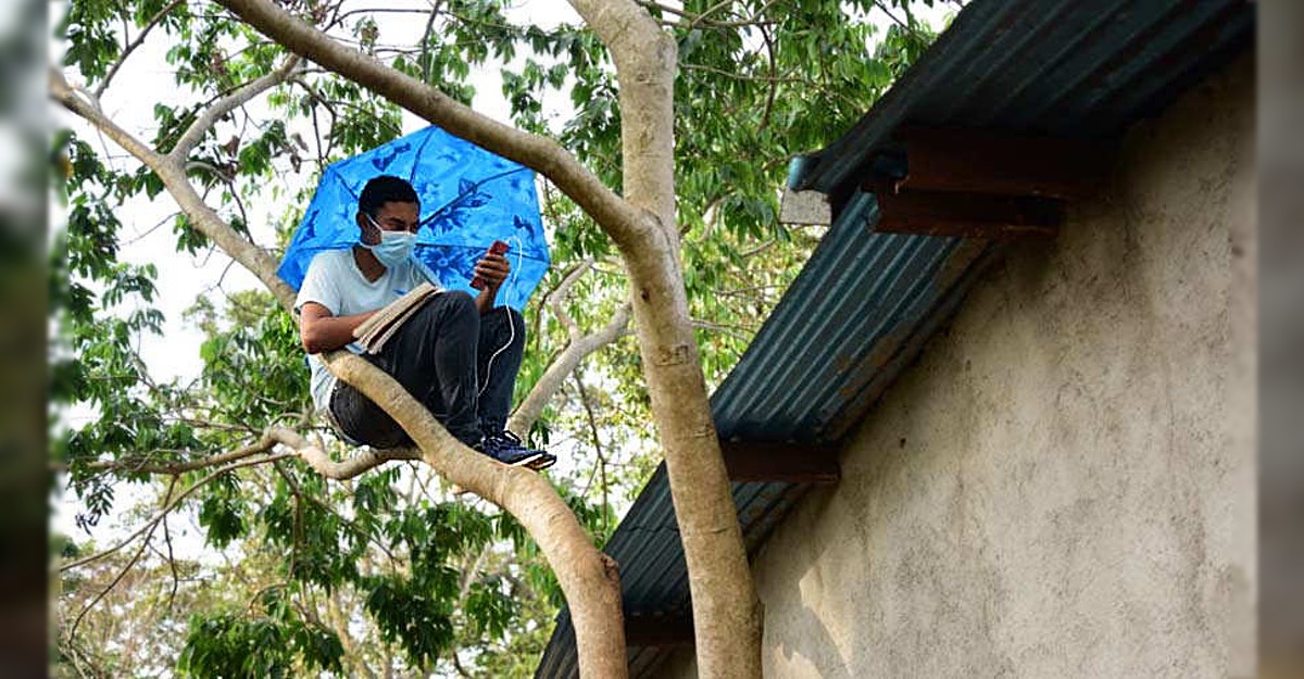 Si sólo quieres internet en casa, sin móvil, éstas son las tarifas que buscas. Sin Internet en casa, trepa un árbol para captar señal y ...