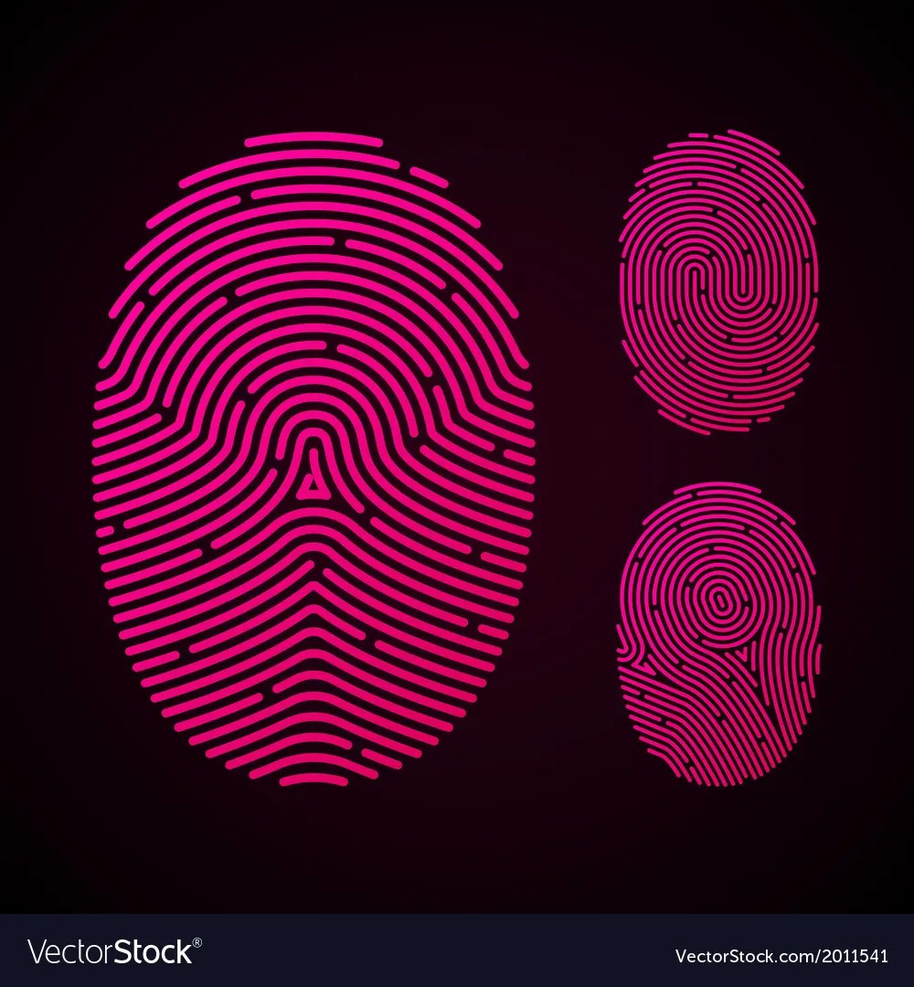 Types fingerprint patterns Royalty Free Vector Image