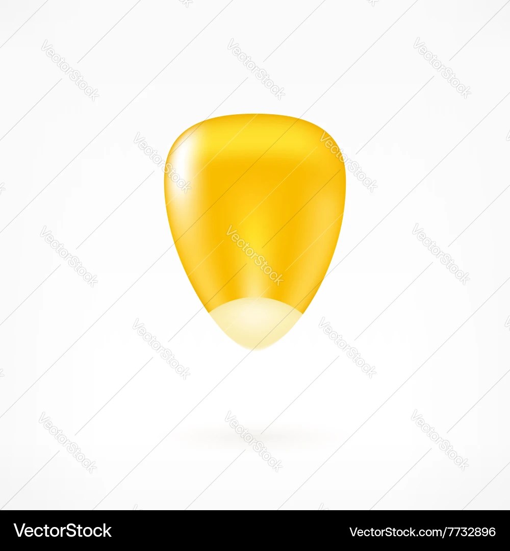 Corn kernel Royalty Free Vector Image VectorStock