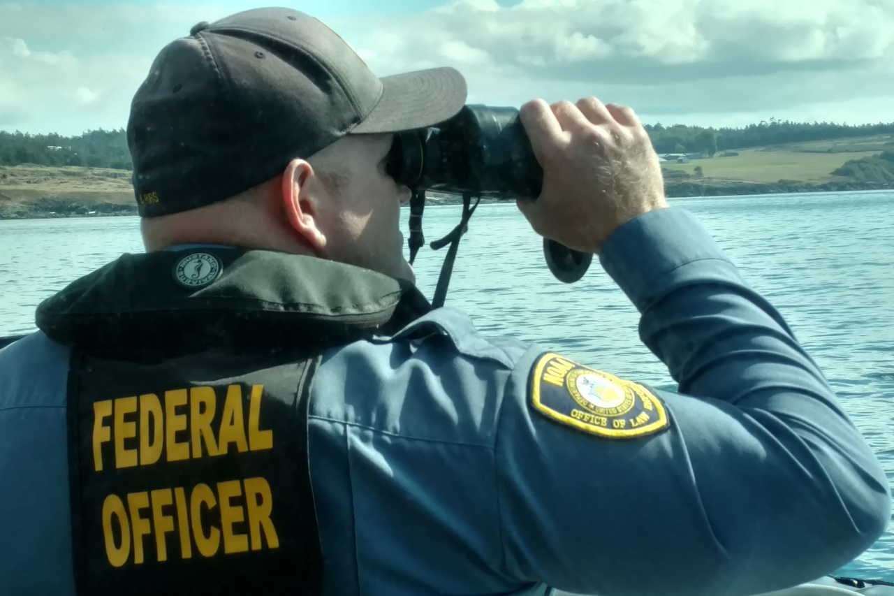 NOAA Law Enforcement Uncovers Illegal Harvesting Scheme An Infographic