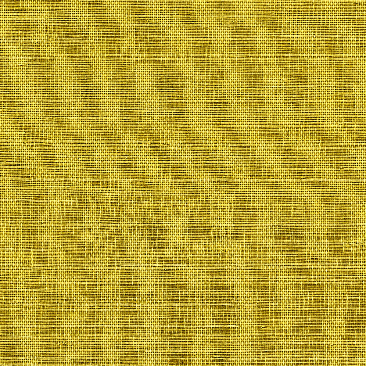 Manila Hemp in Quince Phillip Jeffries