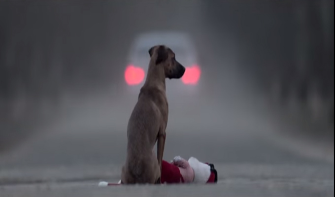 Un spot choquant pour ne plus abandonner les animaux domestiques