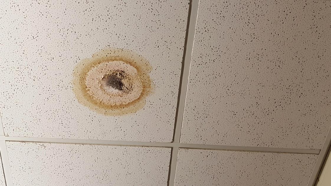 Water Stain Ceiling jesterfarm