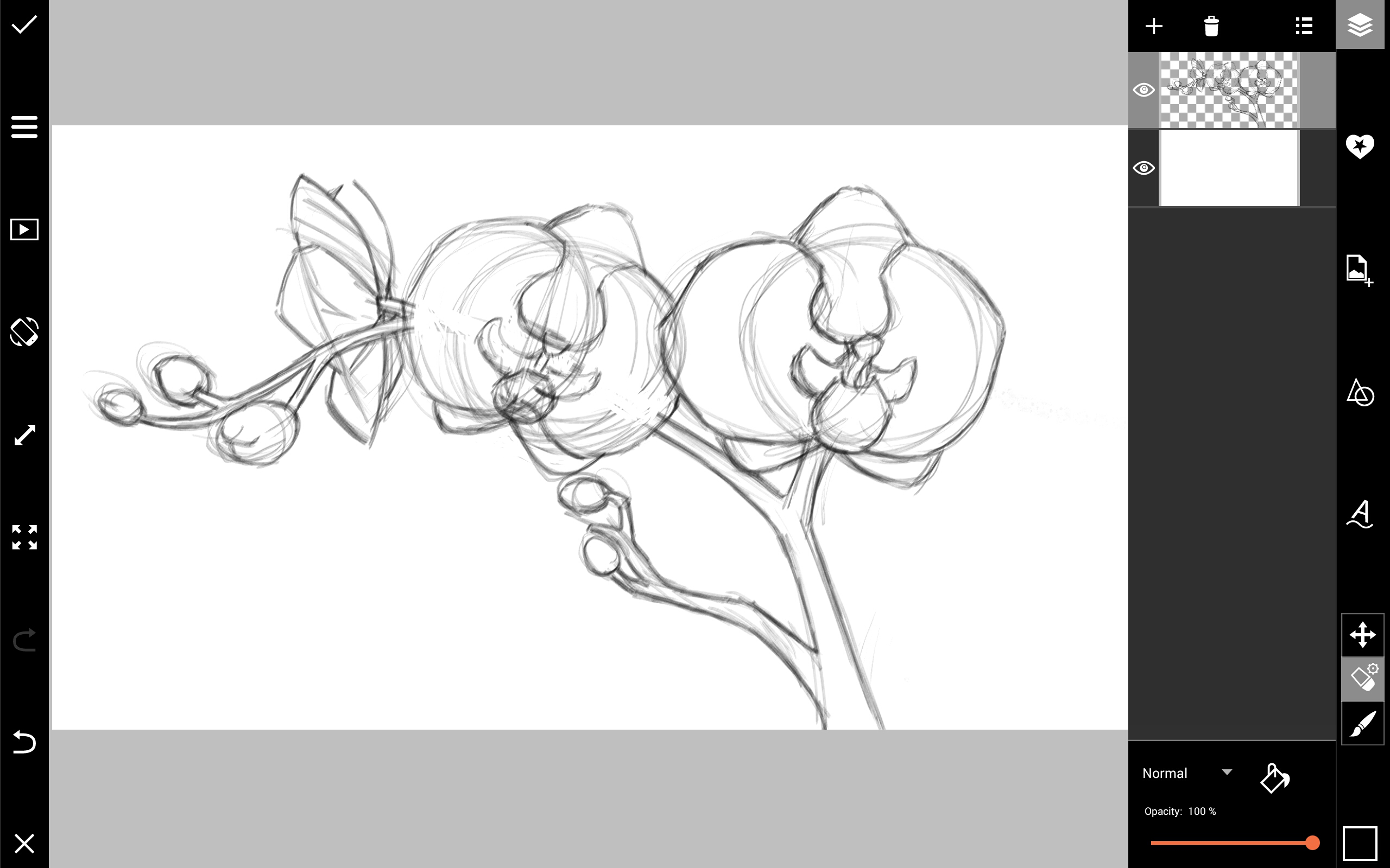 How to Draw Orchids with PicsArt