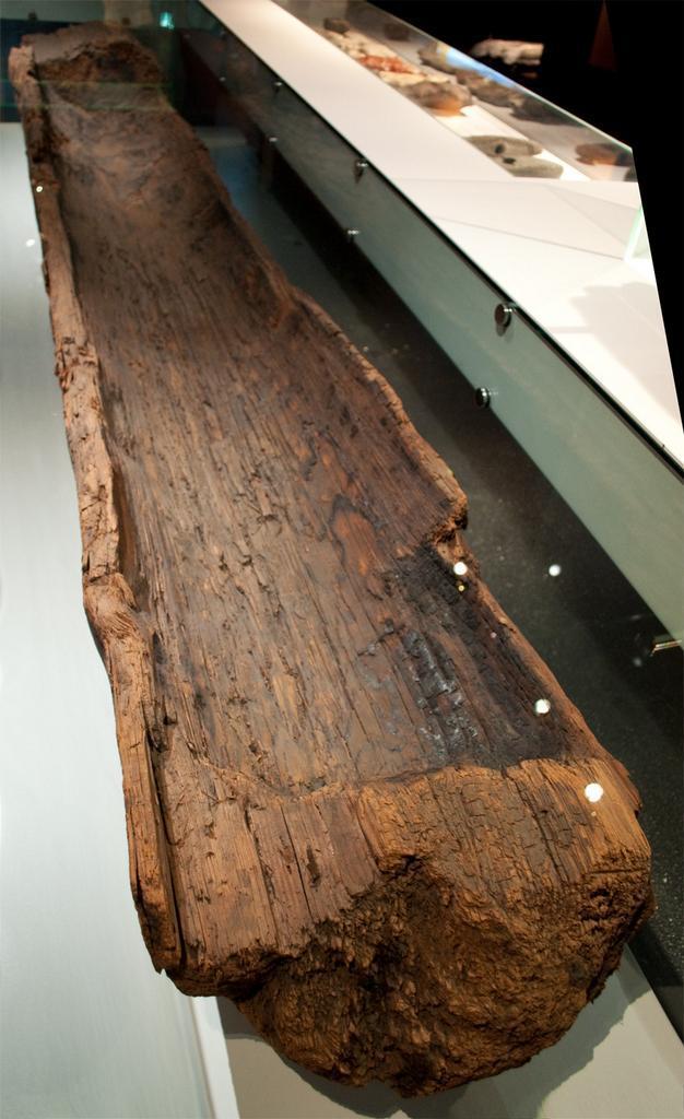 Pesse Canoe, the oldest boat in the world . The Pesse...