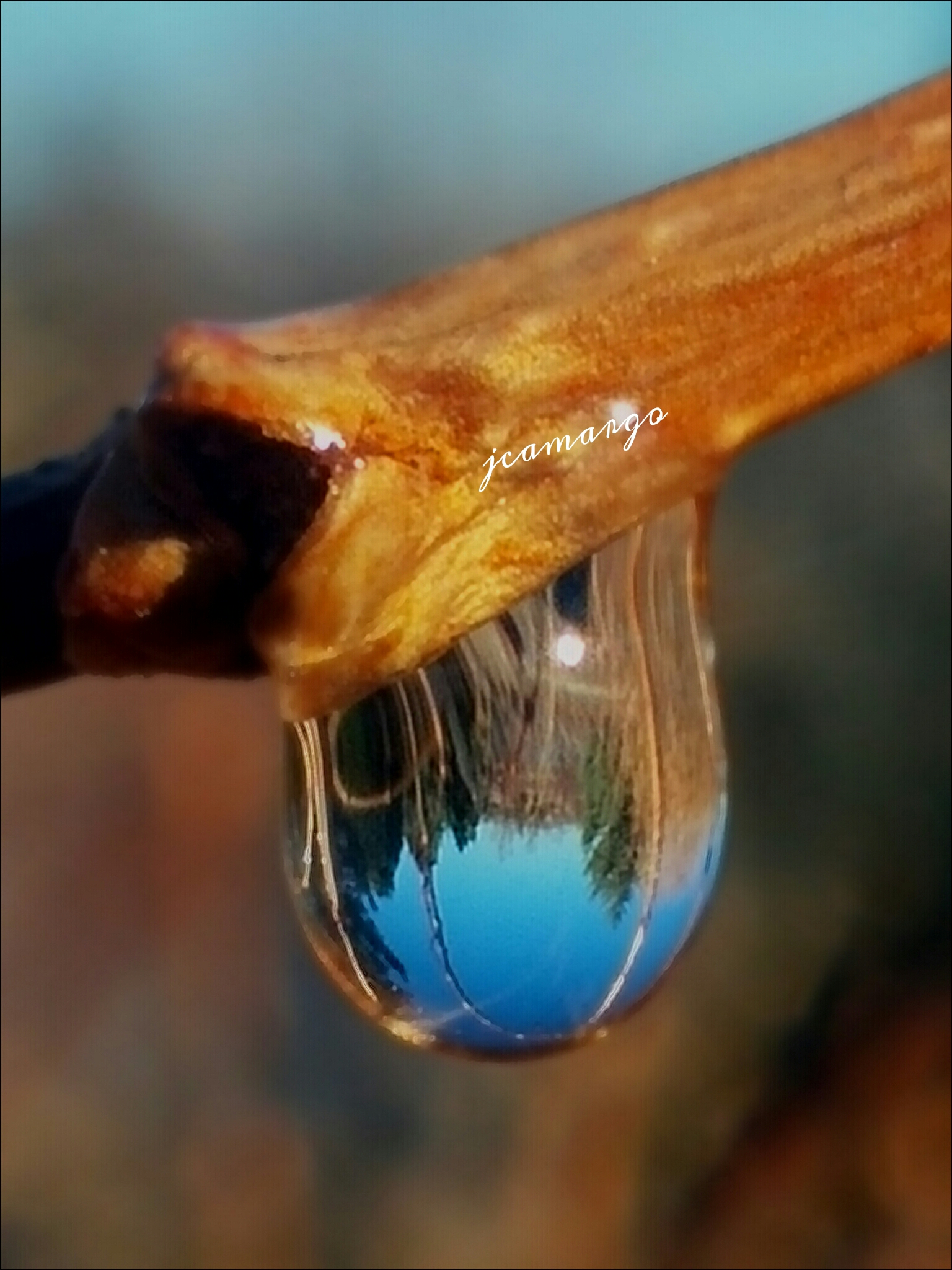 emotionlove nature rain photography colorful macro clo...