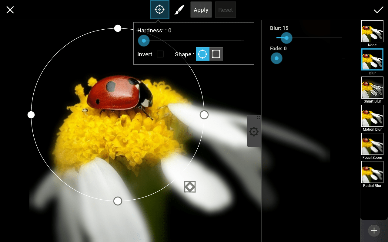 How to Use PicsArt Blur Effects Create + Discover with PicsArt