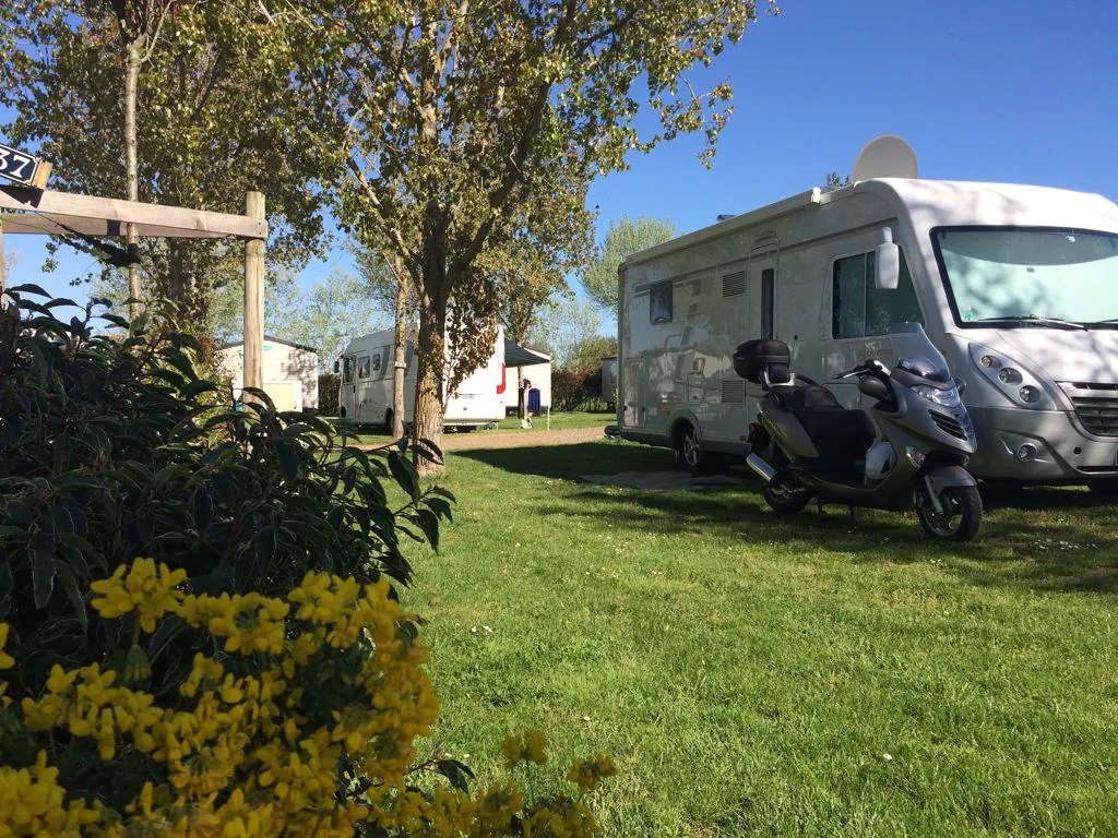 Camping La Grande Vallée in La TranchesurMer Frankrijk ACSI