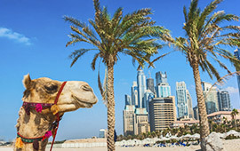 Our Best World Tours