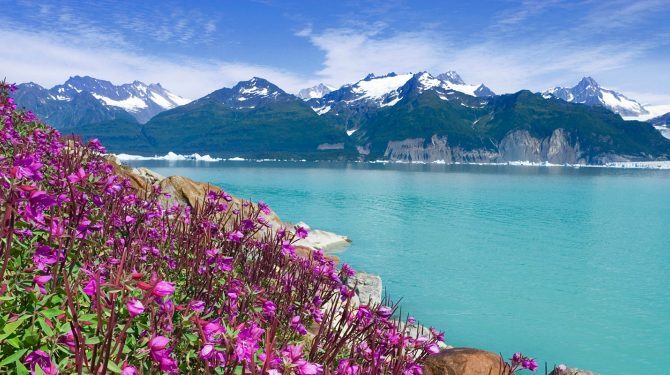 Alaska Cruise Deals