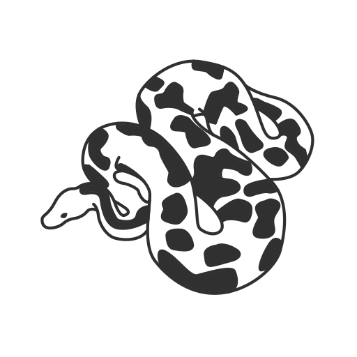 Ball python, boa constrictor, preditor, python, reptile, snake, squeeze