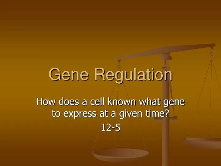PPT Gene Regulation PowerPoint Presentation, free download ID5687708