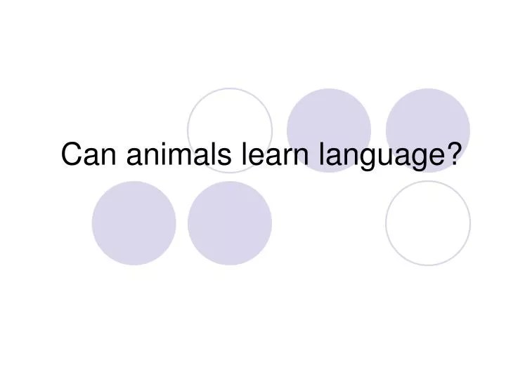 PPT Can animals learn language? PowerPoint Presentation, free
