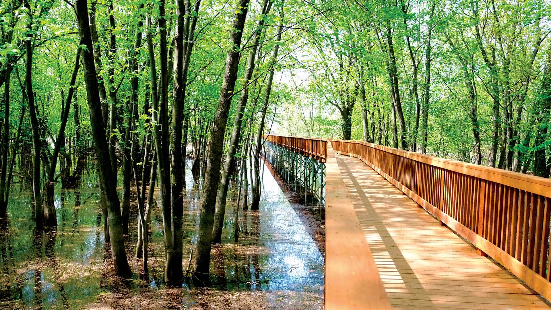 Helical Piers | Hollow Structural Steel | Techno Metal Post