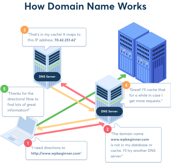 Domain Name vs.  Hosting What's the Difference? (Explained)