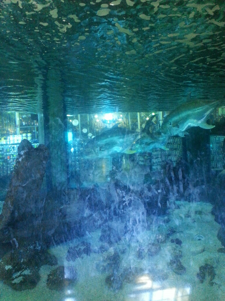 bass pro shop in Destin, Fl image by metalfreak16