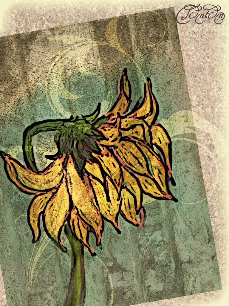 My little shaggy droopy sunflower. Drawn with paint too...