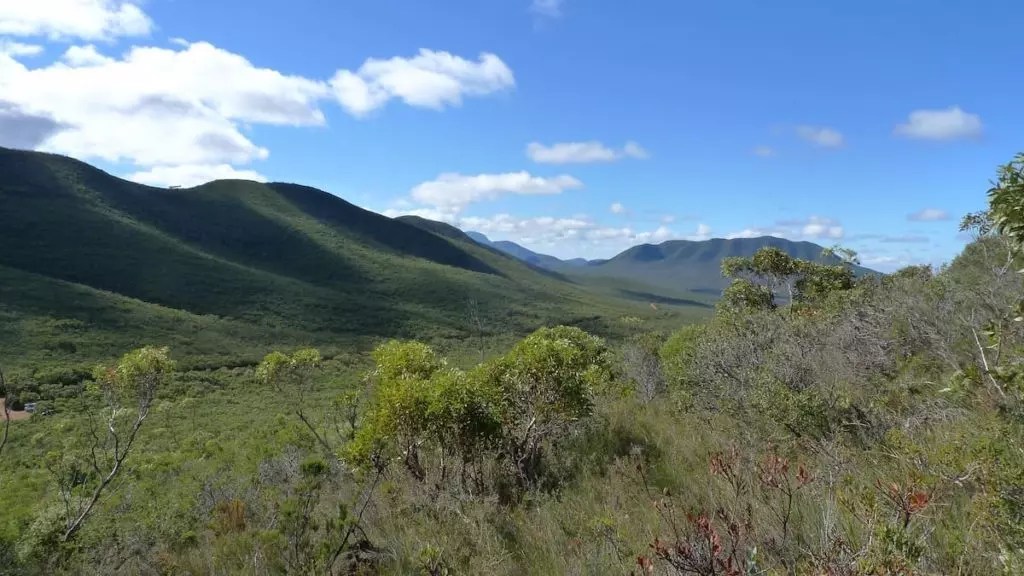 Entangled nature The Stirling Range National Park Heartland Journeys