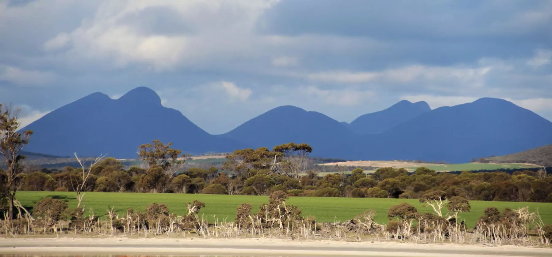 Take the scenic way to Albany Heartland Journeys