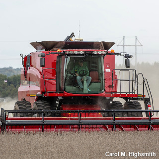 Case Combine Harvester Case IH Axial Flow 8250 | Equipment Ontario