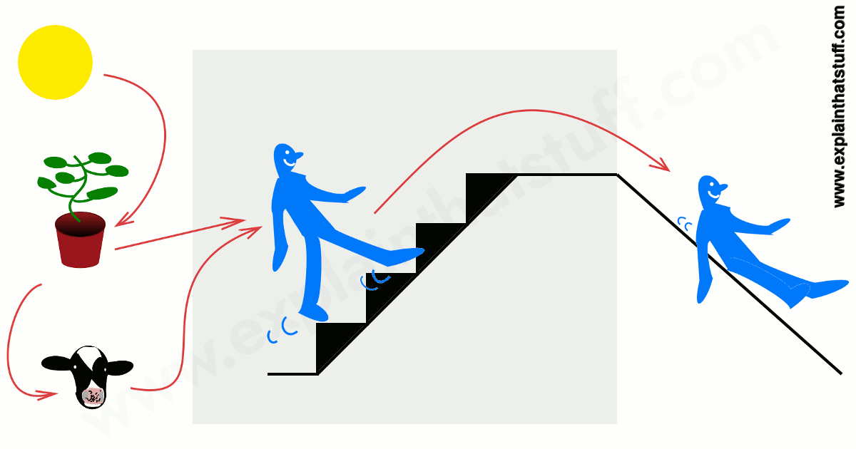 Examples Of Stored Mechanical Energy