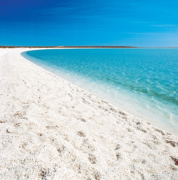 Top 5 Beaches in Victoria, Australia From a Local Insider