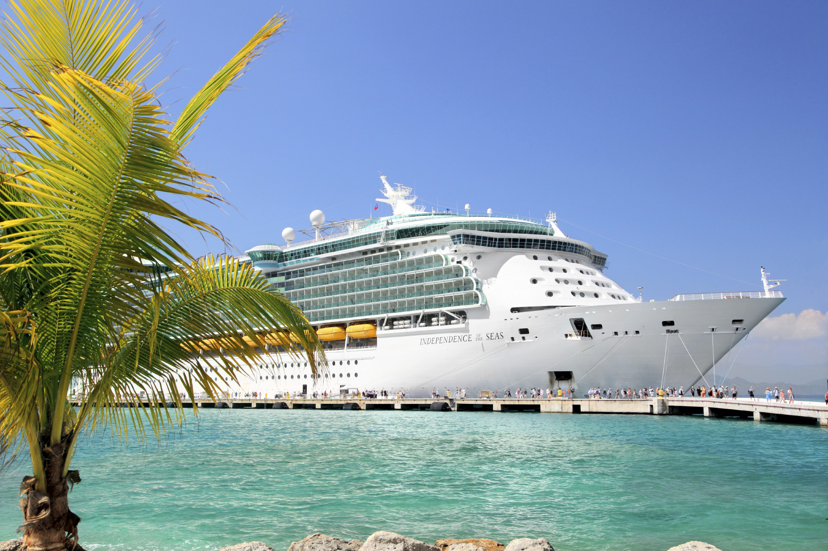 Take a Cruise