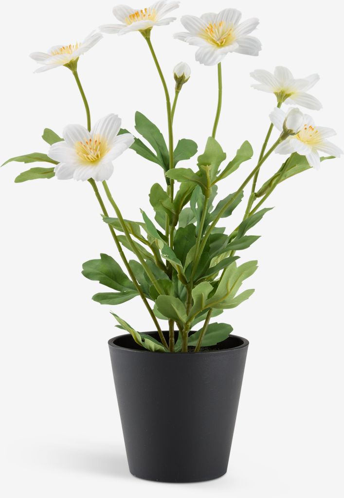 Artificial plant EINERT D18xH32cm with pot JYSK