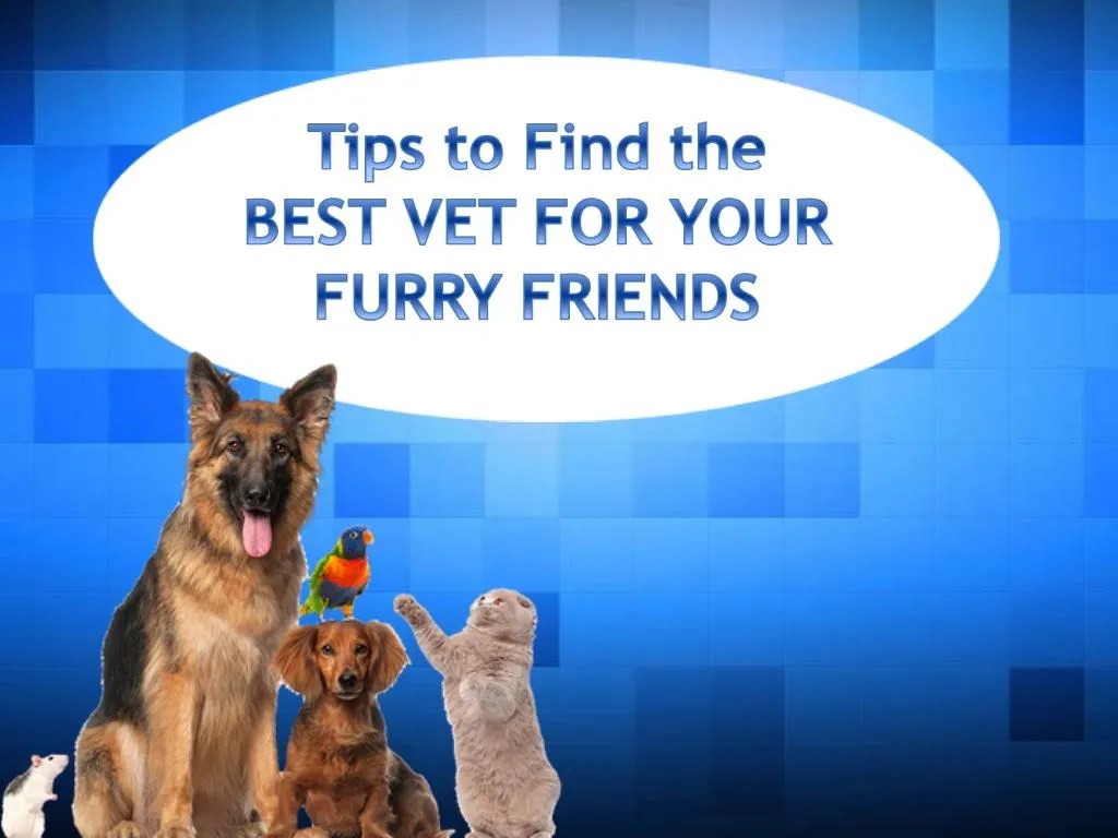 PPT Tips to Find 24 Hour Emergency Animal Hospital PowerPoint