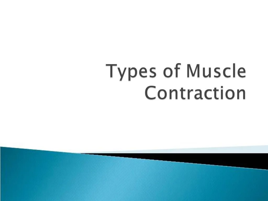 PPT Types of Muscle Contraction PowerPoint Presentation, free