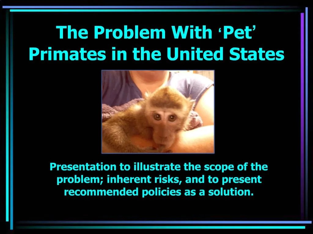 PPT The Problem With Pet Primates in the United States PowerPoint
