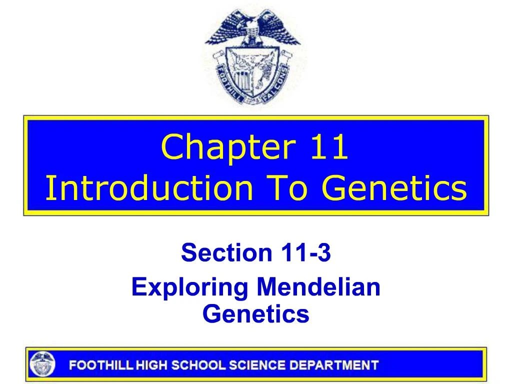 PPT - Chapter 11 Introduction To Genetics PowerPoint Presentation, free