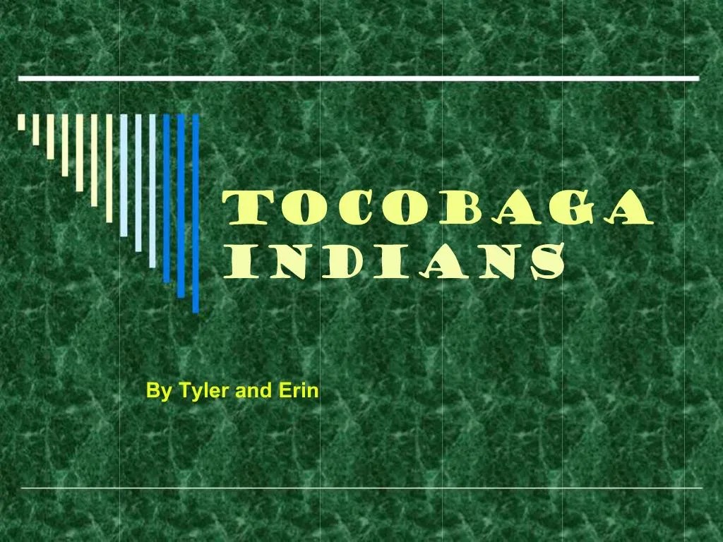 PPT Tocobaga Indians PowerPoint Presentation, free download ID460359
