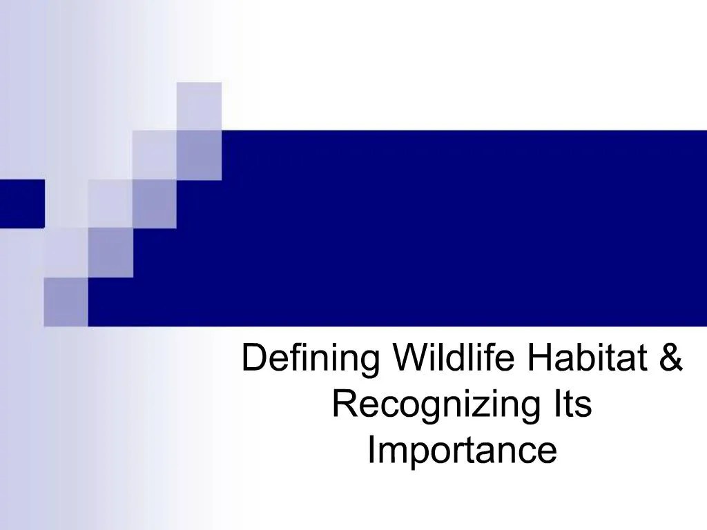 PPT Defining Wildlife Habitat Recognizing Its Importance PowerPoint Presentation ID544645