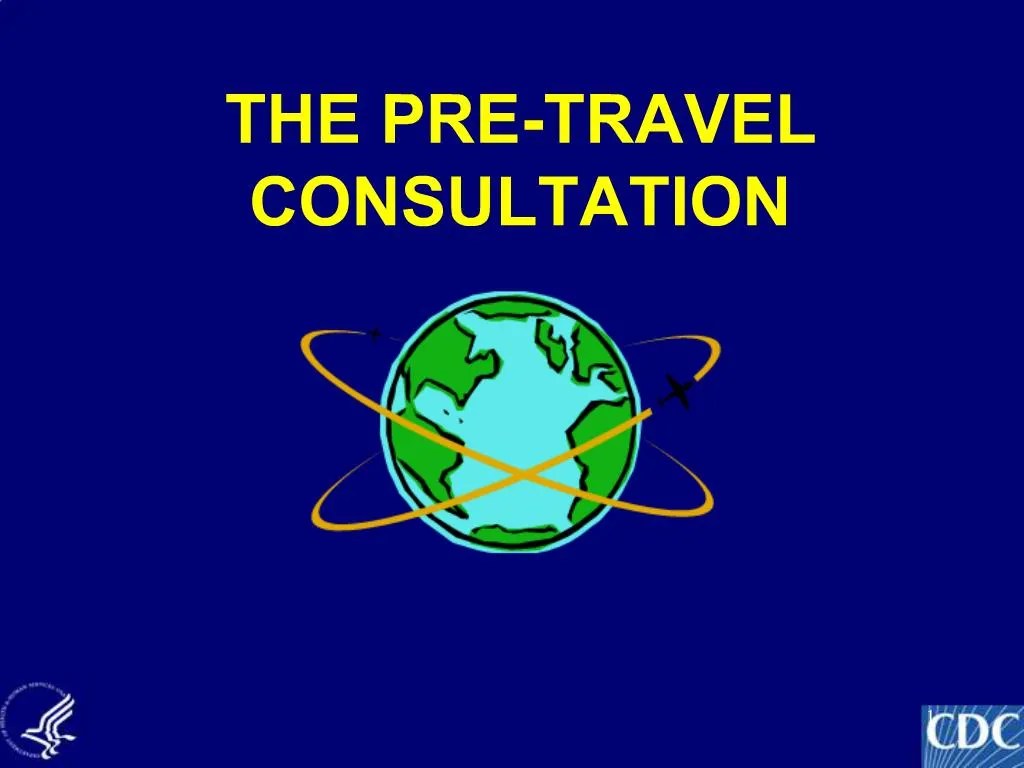 PPT THE PRETRAVEL CONSULTATION PowerPoint Presentation, free