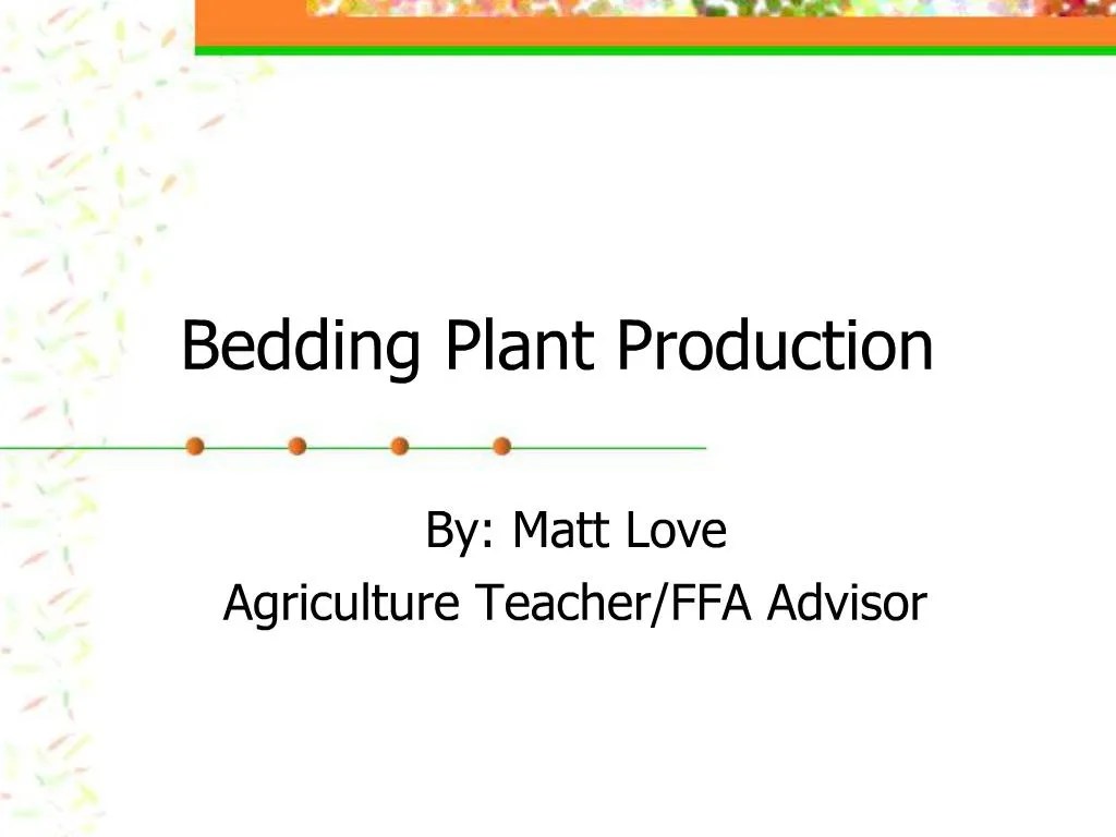 PPT Bedding Plant Production PowerPoint Presentation, free download