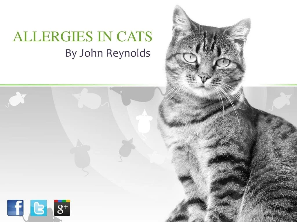 PPT Cat Allergies PowerPoint Presentation, free download ID7181663