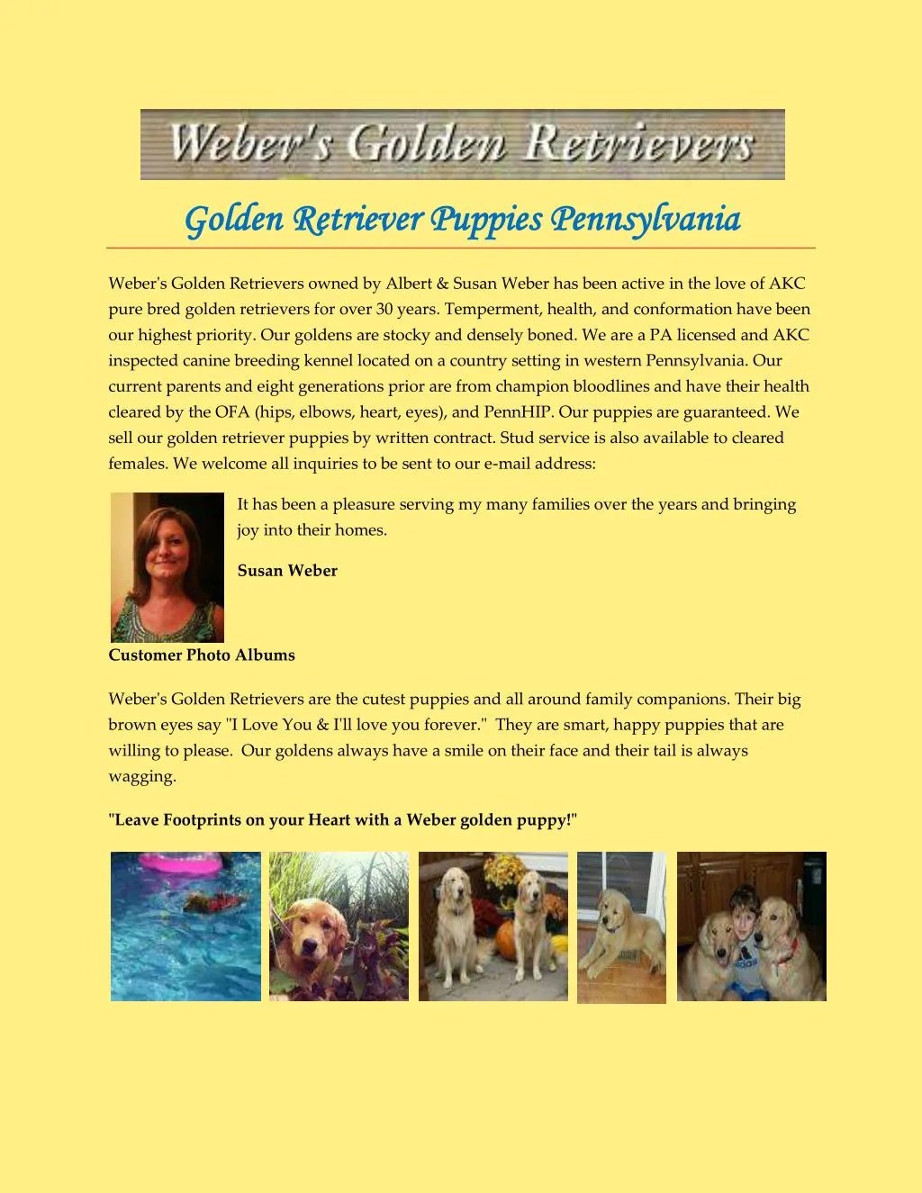 PPT Golden Retriever Puppies Pennsylvania PowerPoint Presentation