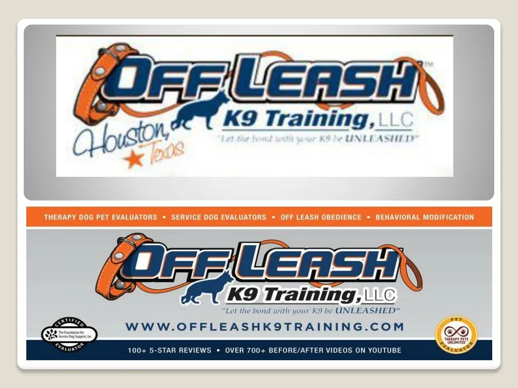 PPT Dog Trainer Baton Rouge Louisiana Dog Trainer Baton Rouge Dog