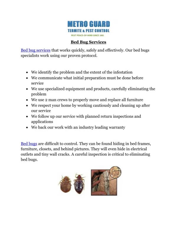 PPT Maintaining a Bed BugFree Environment PowerPoint Presentation