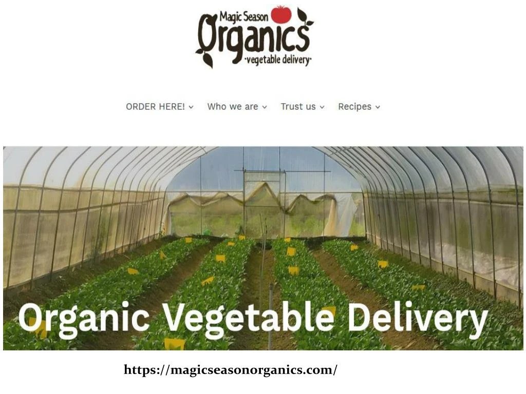 PPT Organic Food Hong Kong PowerPoint Presentation, free download