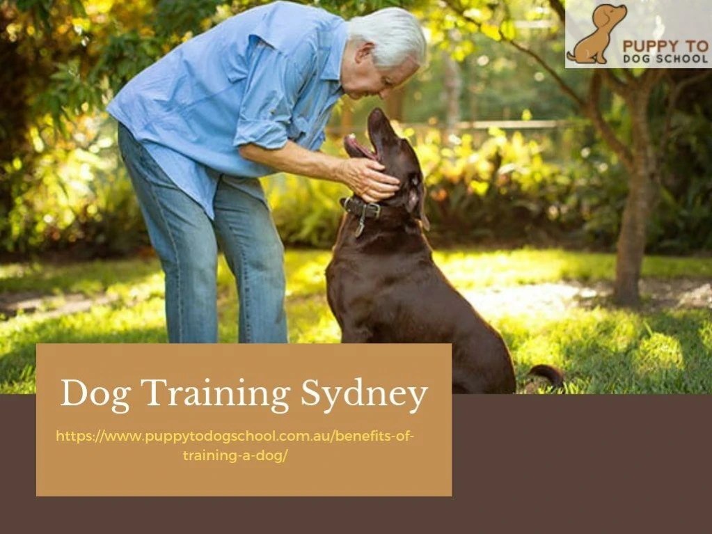 PPT Dog Training Sydney PowerPoint Presentation, free download ID