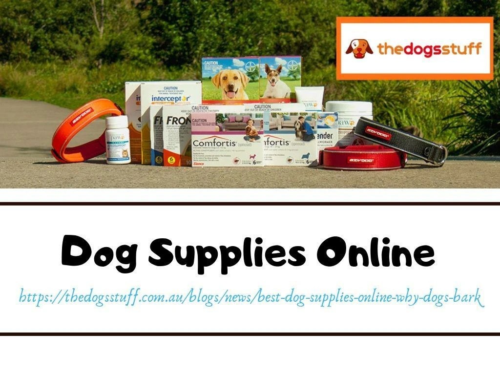 PPT Dog Supplies Online PowerPoint Presentation, free download ID