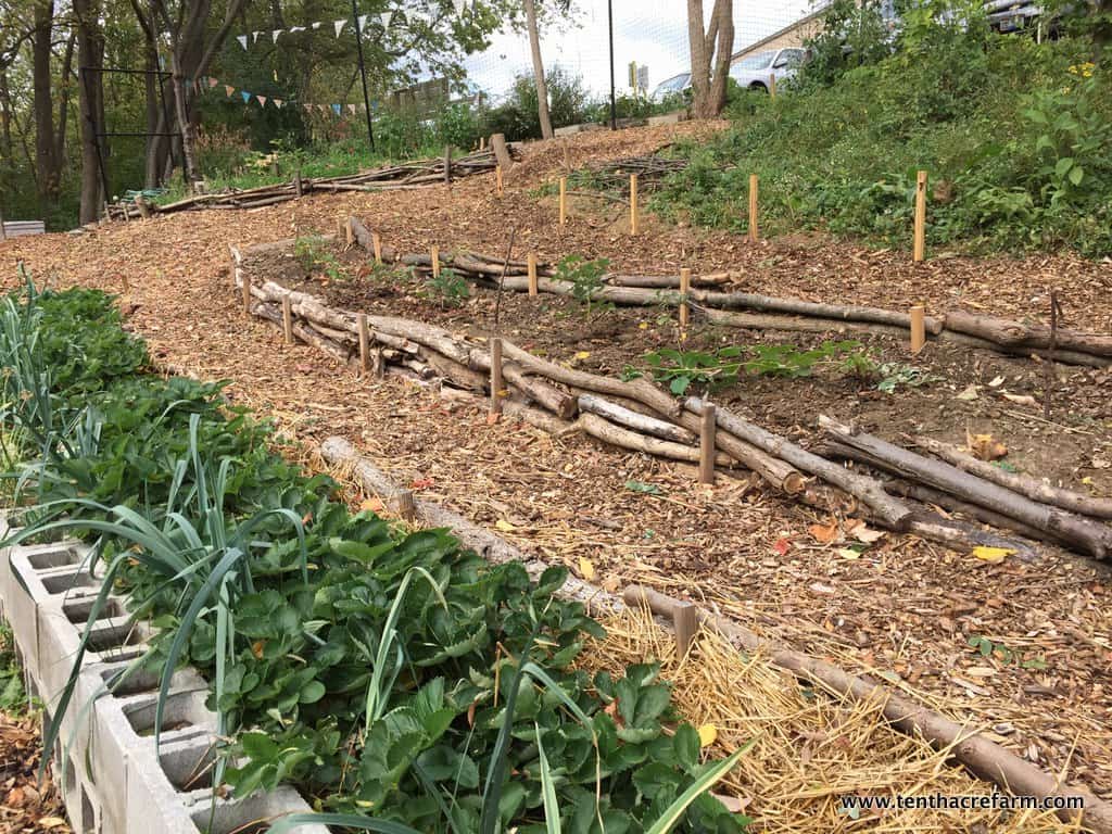 Here’s a Quick Way to Terrace a Hill Tenth Acre Farm